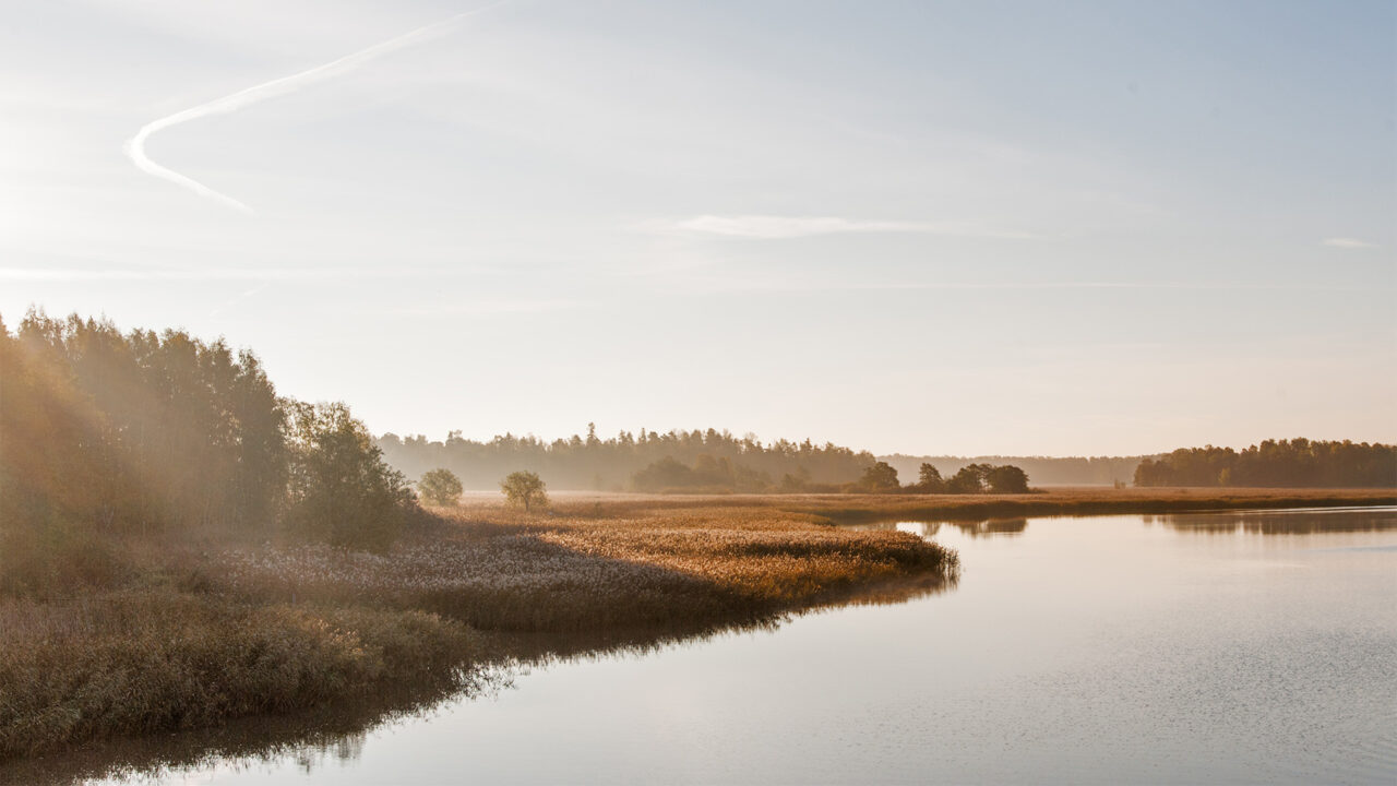 Kesäinen maisema Suomen suoalueelta.