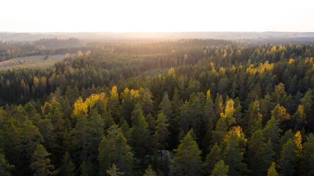 Kuvituskuva: turvallinen Suomi